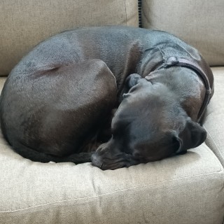 Aaron_Memer_God avatar