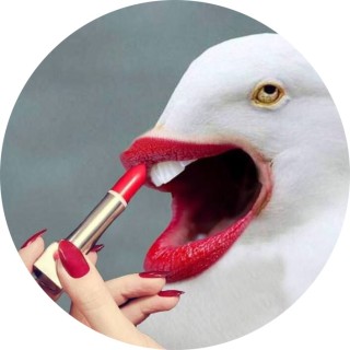 angelina_rose avatar