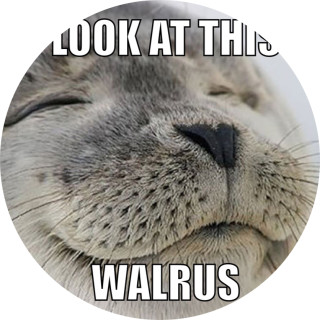 mr_meme_master avatar