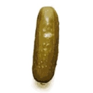 pickle_is_a_fruit avatar