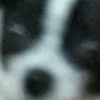 hockersnocherthethick avatar