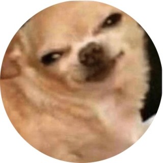 memesxellaxoxo avatar