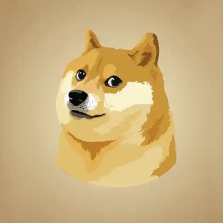 doge123123 avatar