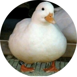 Fat_quack avatar