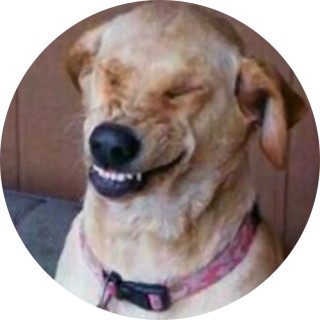 thereuhavesome_memes avatar