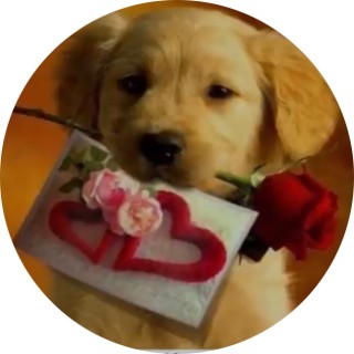 bruhwhywhywhy avatar