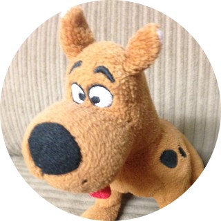 siddharthsarkar avatar