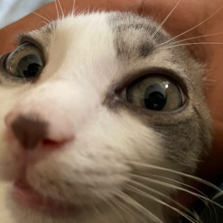 ripsjsjwjxhwhxhh avatar