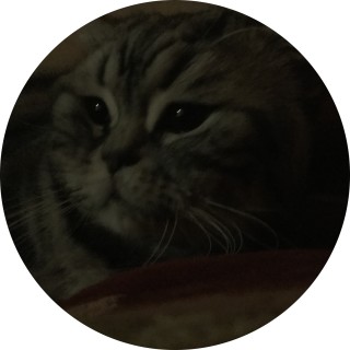 john_da_memer avatar