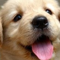 I_deleted_yur_mom avatar