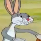 rainbow_cat23 avatar