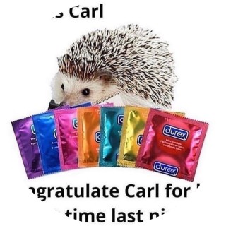 ThatOneRussianMan avatar