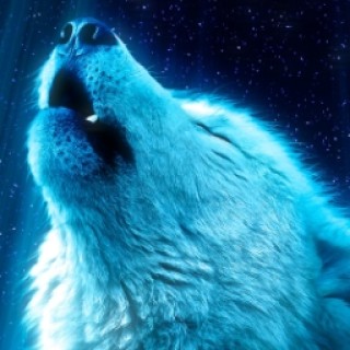 Meme_Creator_06 avatar