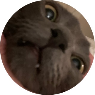 flymiamibro_22 avatar