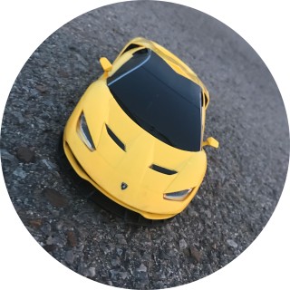 lamb_lamb29472011 avatar