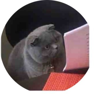 thatpicklekidz avatar