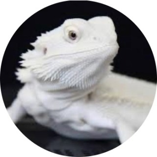 i_am_cool_134 avatar