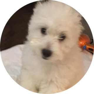 arianna_thomas avatar