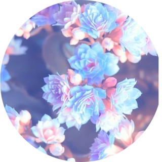 MaryamAlani123 avatar