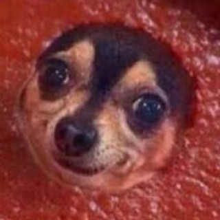 DonatedSquash69 avatar