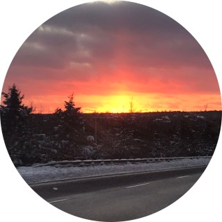 nosilahines2430 avatar