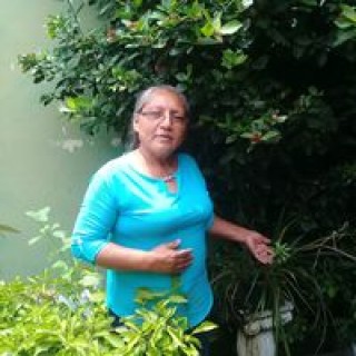 vilmaibanez416 avatar