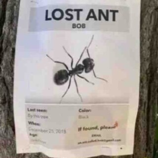 The_rizzashotey avatar