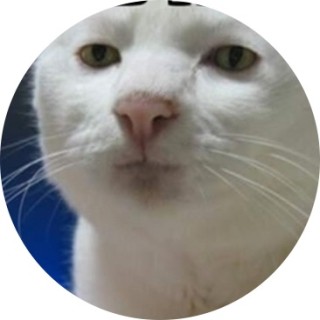 why_you_loking_ avatar