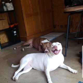 Glitteryunicorn23 avatar