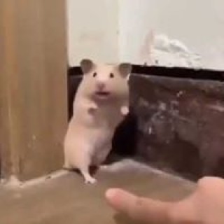 reggieflanagan58 avatar