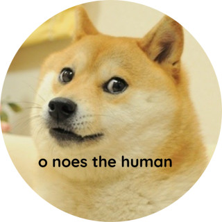 HASNEVERHADANOOVOOJAVER avatar