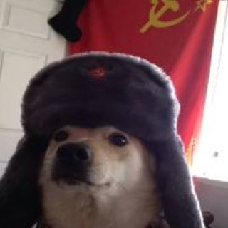 yasar.deli111 avatar