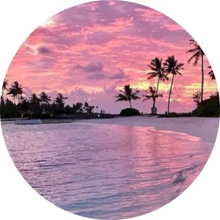 evie_and_memes avatar