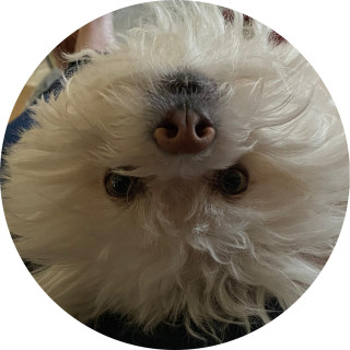 wow_i_suck_at_this avatar