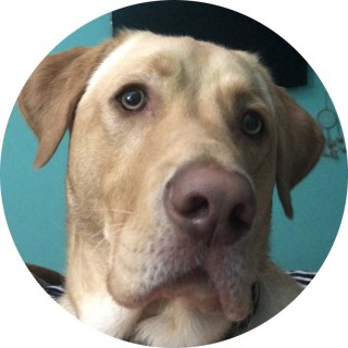 funny_memes345 avatar