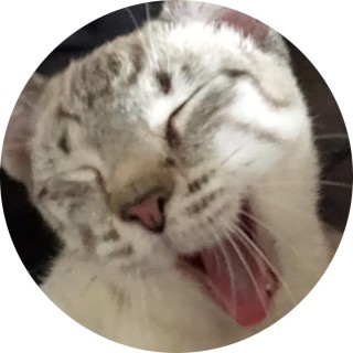 god_of_all_memes_every_where avatar