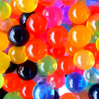 funnybunny1234 avatar