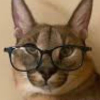 bigfloppaisepic avatar