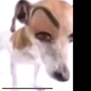 daddy_your_mom avatar