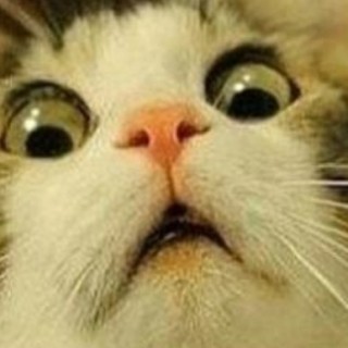 Funnymemes_2.0 avatar