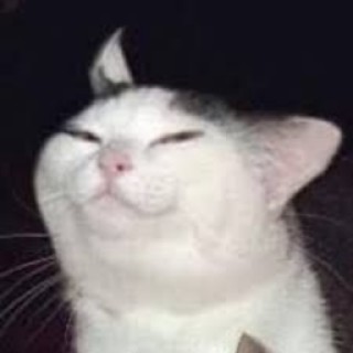 AndrewRyan223 avatar