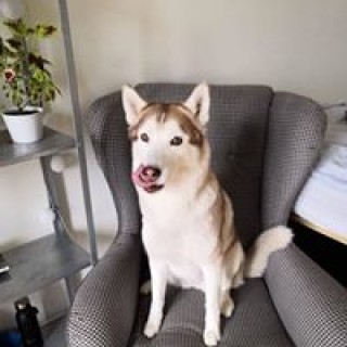 officialphyzkid avatar