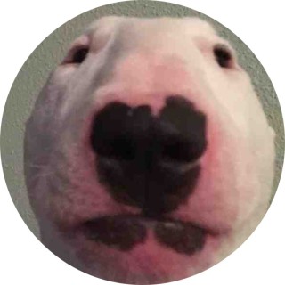 NeighbourOfMemes avatar