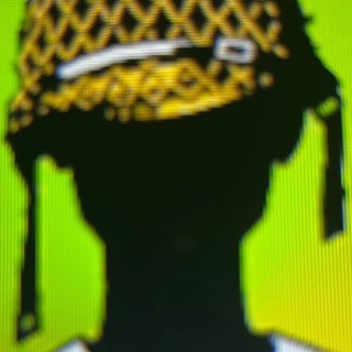 im-the-guy-who-asked avatar