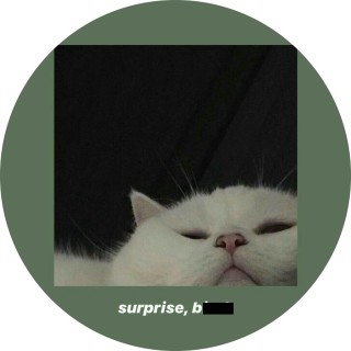 IC00_kie_Memes123 avatar