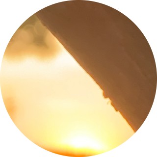 chickenwing283883 avatar