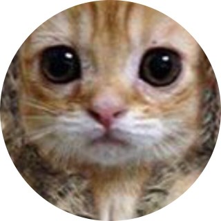 trash_meme_maker avatar