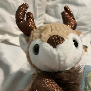 Not_Reindeers avatar