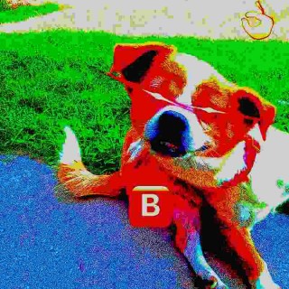 MildRandomness avatar