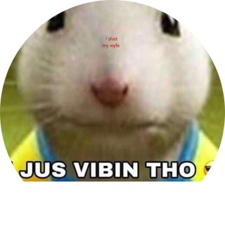 just_vide_with_me avatar